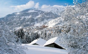Ski Chalets in La Plagne 1800